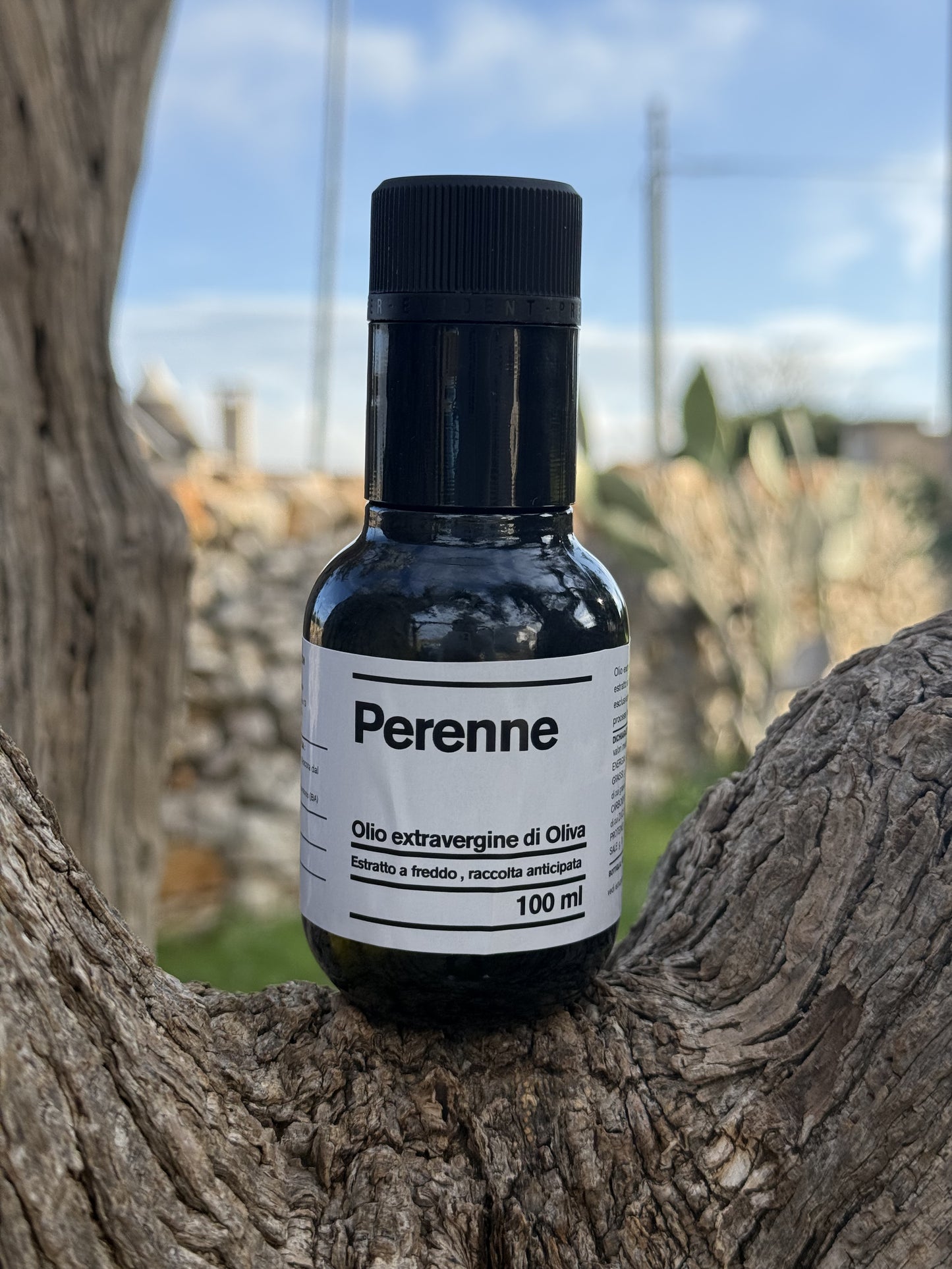 Olio extra vergine di oliva - raccolta anticipata 100 ml