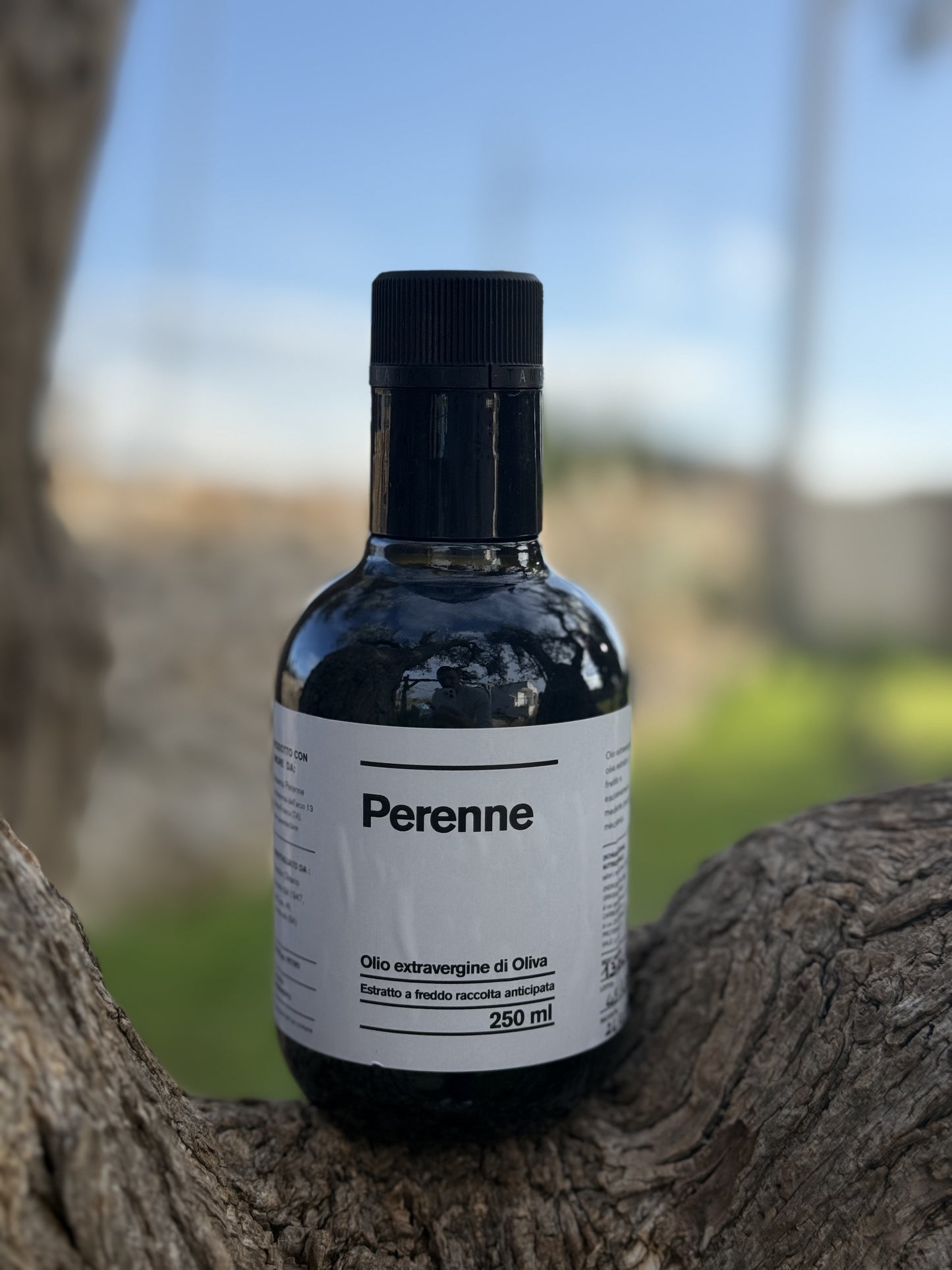 Perenne - Olio extravergine di oliva raccolta anticipata - 250 ml