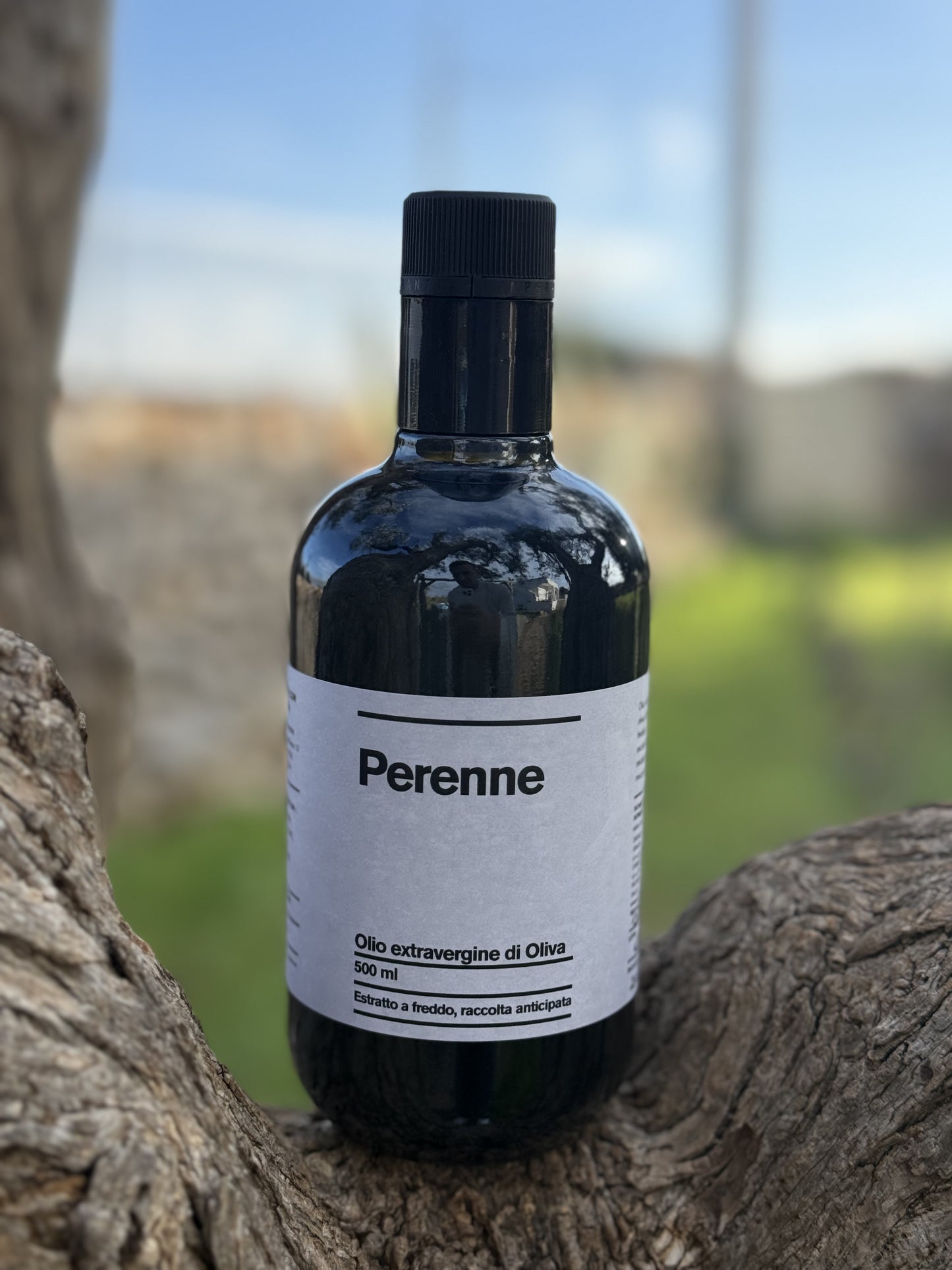 Perenne - Olio extravergine di oliva raccolta anticipata - 500 ml